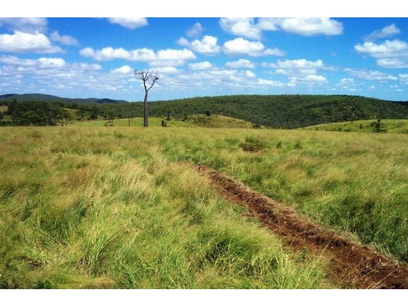 Tansey QLD 4601