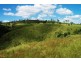 Tansey QLD 4601
