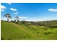 Tansey QLD 4601