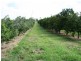 Chatsworth QLD 4570