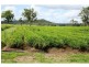 476 Emerys Bridge Road, Mount Urah QLD 4650