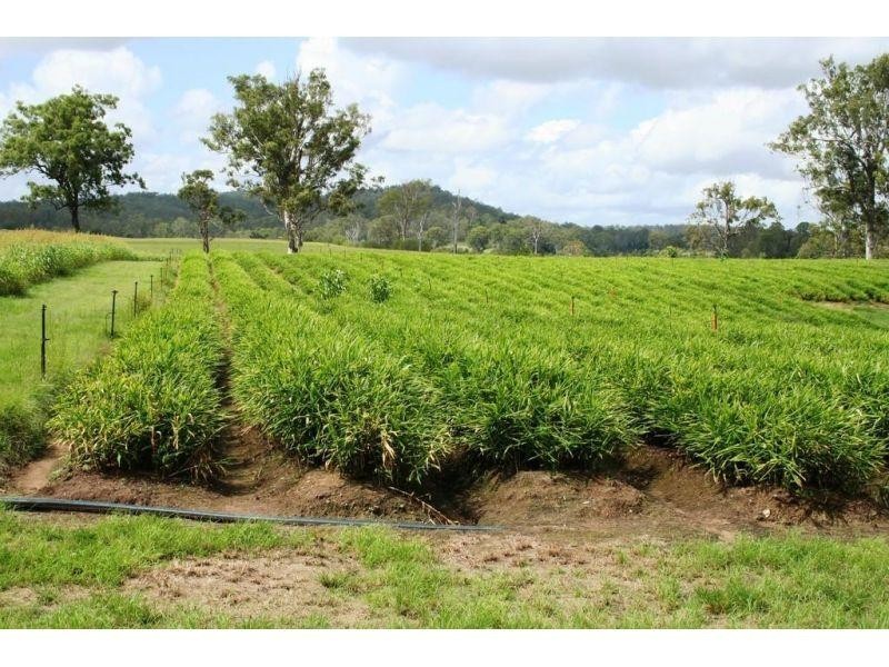 476 Emerys Bridge Road, Mount Urah QLD 4650