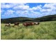 Tansey QLD 4601