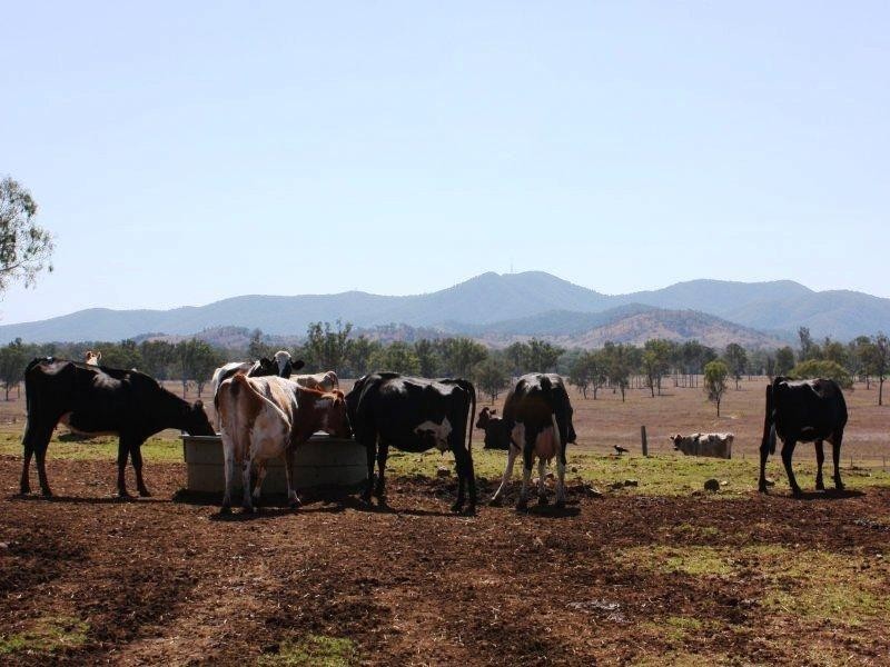 379 Old Coach Road, Biggenden QLD 4621