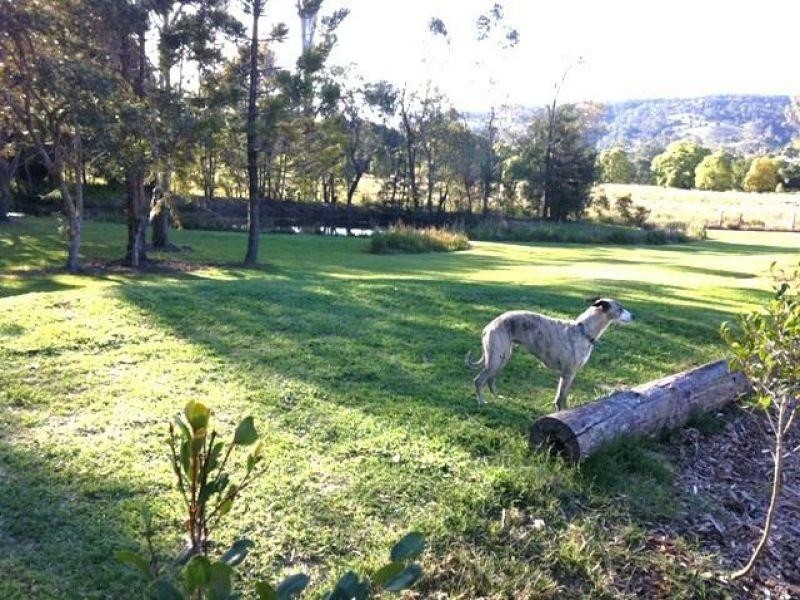 31 Tablelands Road, Cooran QLD 4569