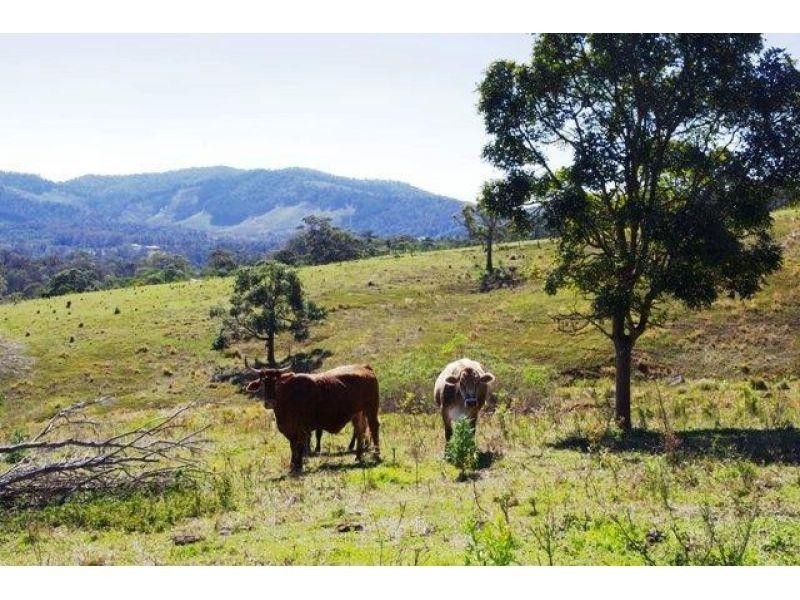 4325 Mary Valley Rd, Brooloo QLD 4570