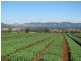 Lower Wonga QLD 4570