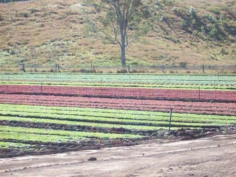 Lower Wonga QLD 4570