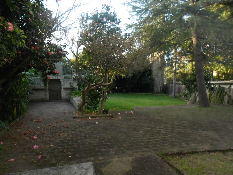 7 Michelle Drive, Constitution Hill NSW 2145