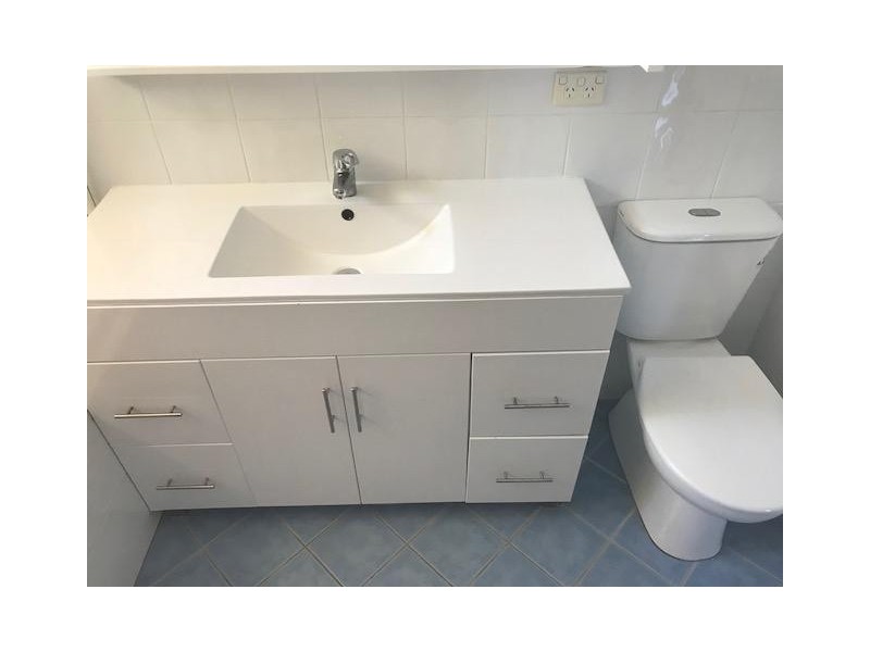 2 Potter Street, Old Toongabbie NSW 2146