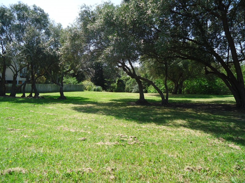 34 Mayfield Street, Wentworthville NSW 2145