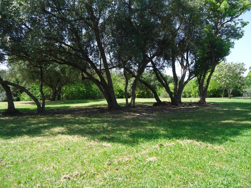 34 Mayfield Street, Wentworthville NSW 2145