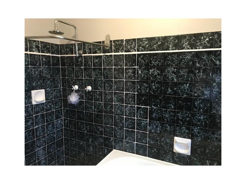 124 Centenary Road, South Wentworthville NSW 2145