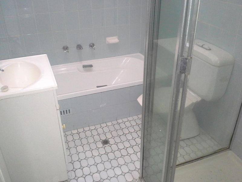 22 Premier Street, Toongabbie NSW 2146