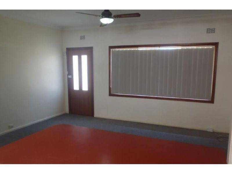 17 Peachtree Avenue, Constitution Hill NSW 2145