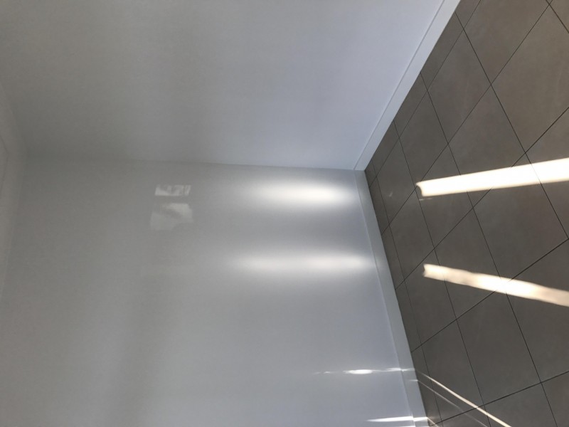 56a Berith Road, Greystanes NSW 2145