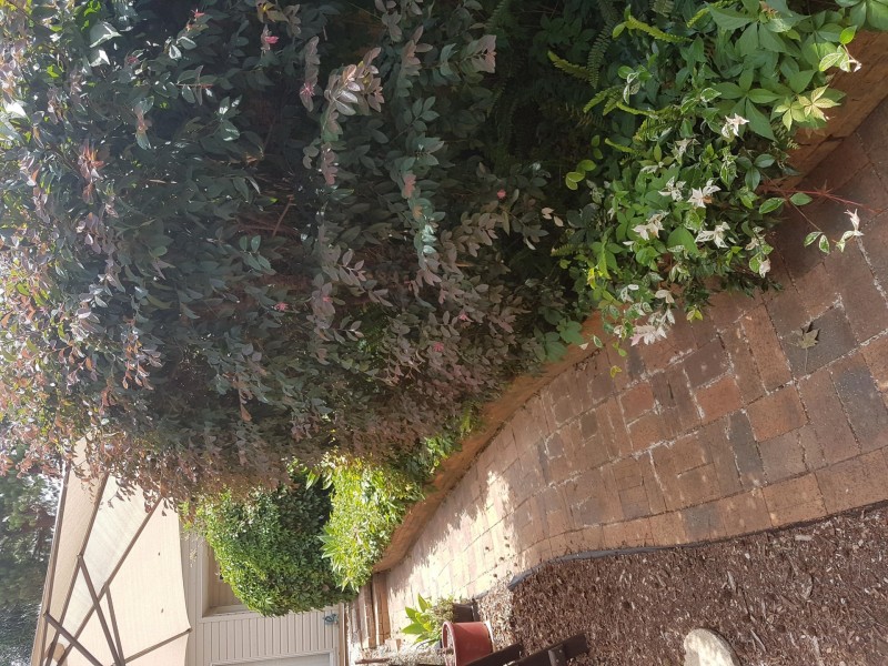 5A Kilmorey Street, Busby NSW 2168