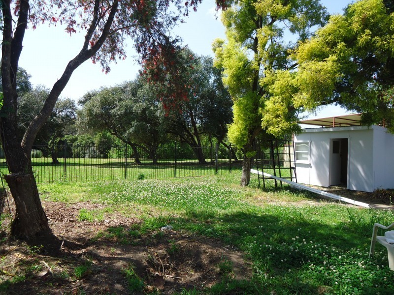 34 Mayfield Street, Wentworthville NSW 2145