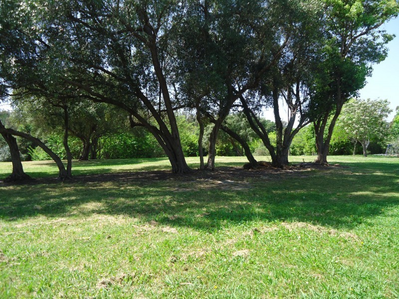 34 Mayfield Street, Wentworthville NSW 2145