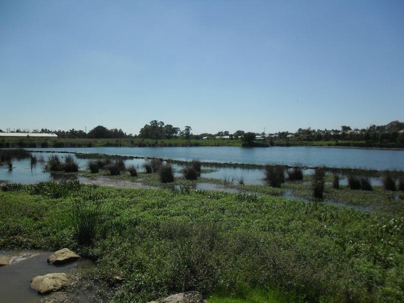 3 Nijong Street, Pemulwuy NSW 2145