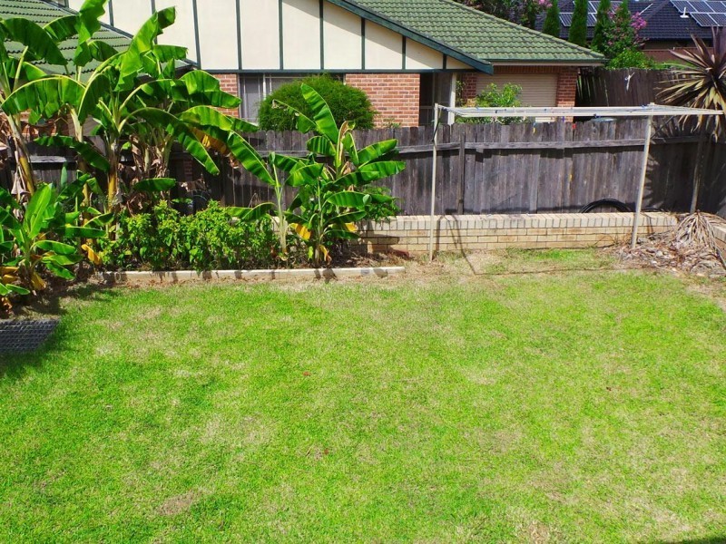 Wentworthville NSW 2145