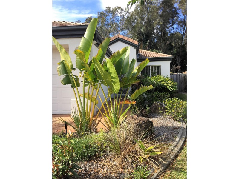 34 Albicore Street, Mermaid Waters QLD 4218