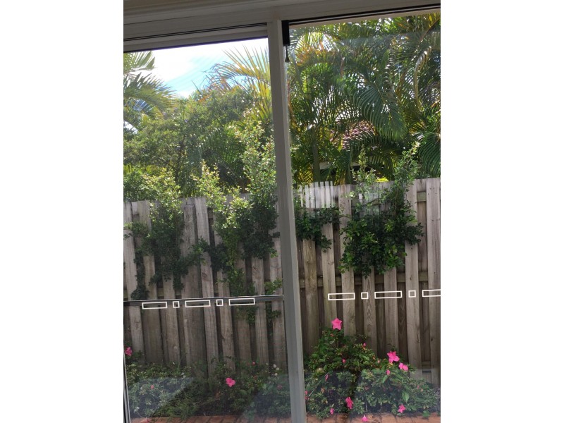 34 Albicore Street, Mermaid Waters QLD 4218