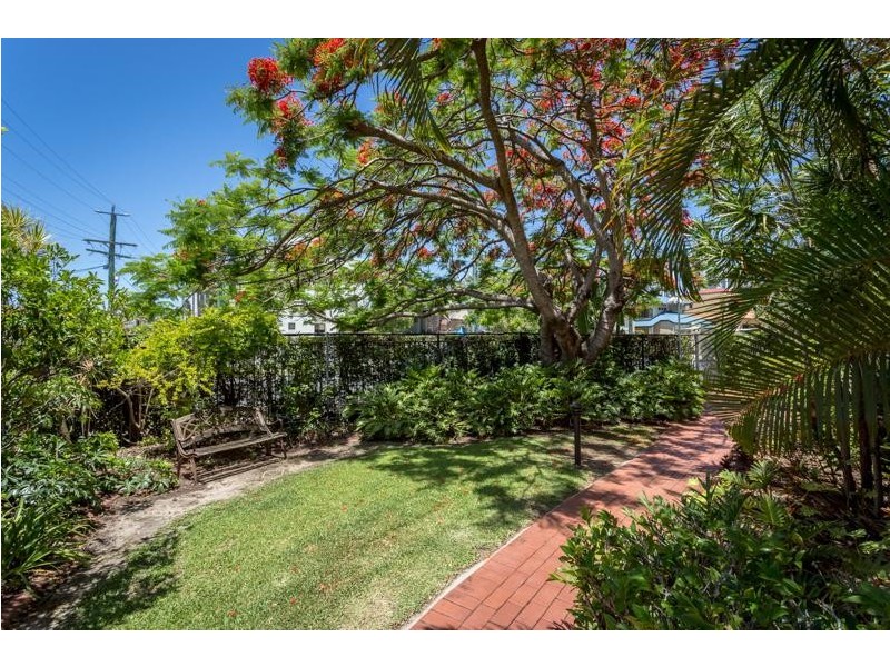 142 Stanhill Drive, Chevron Island QLD 4217