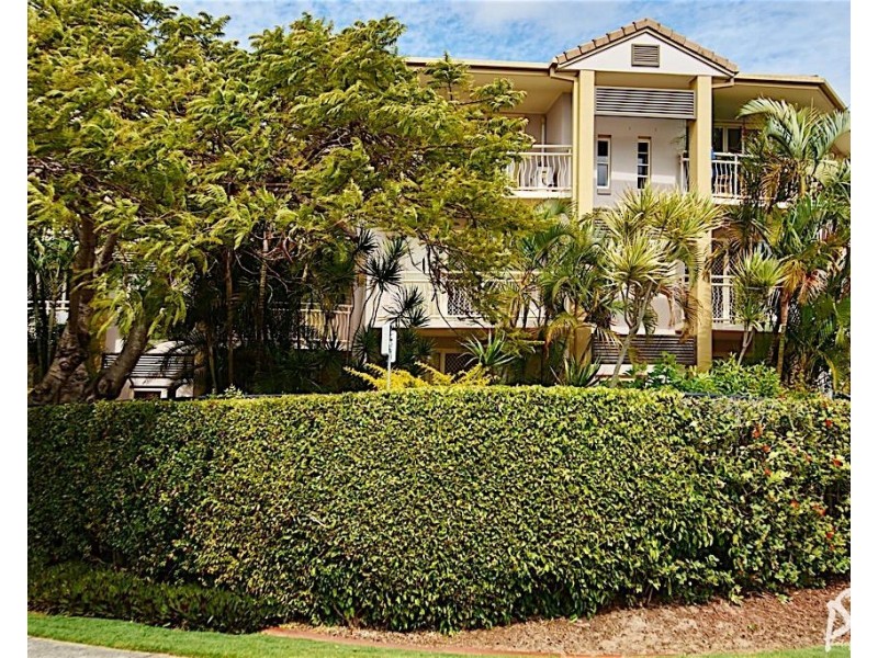 142 Stanhill Drive, Chevron Island QLD 4217