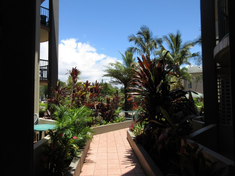 143 Golden Four Dr, Bilinga QLD 4225