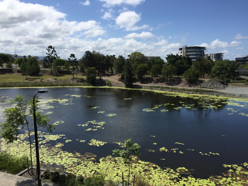 @ Parnell Blv, Robina QLD 4226