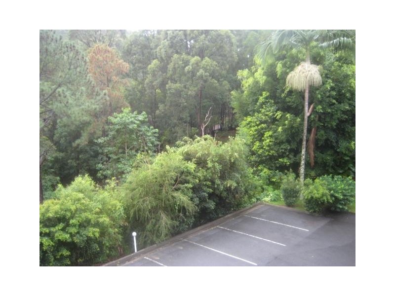 3 Clancy Court, Tugun QLD 4224