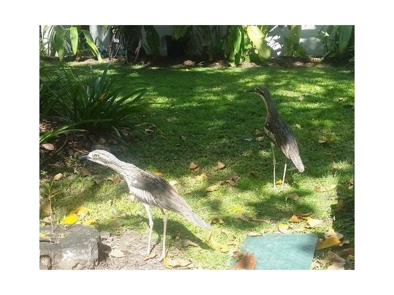 Cairns City QLD 4870