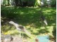 Cairns QLD 4870