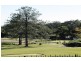 433 Brisbane Road, Arundel QLD 4214