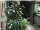 185 Coveys Road, Tinbeerwah QLD 4563