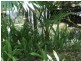 185 Coveys Road, Tinbeerwah QLD 4563