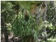 185 Coveys Road, Tinbeerwah QLD 4563