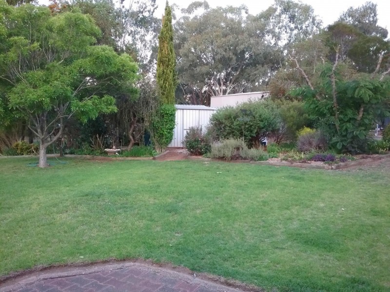 25 Mountain View Place, Wellington NSW 2820
