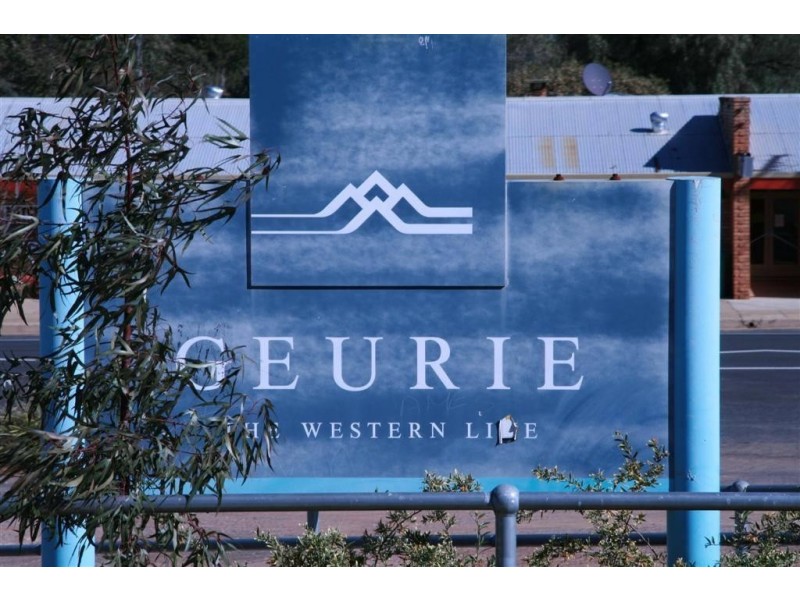 51 Old Dubbo Road, Geurie NSW 2831