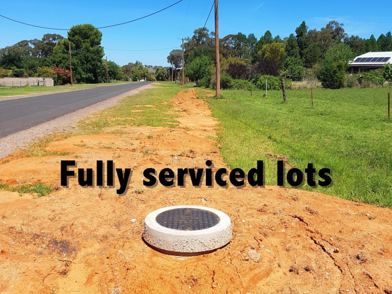 51 Old Dubbo Road, Geurie NSW 2831