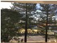 22 Armrick Avenue, Broadbeach QLD 4218