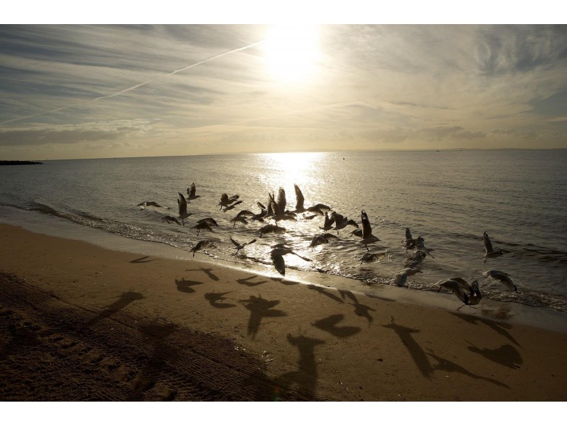 100/113 Landsborough Ave, Scarborough QLD 4020