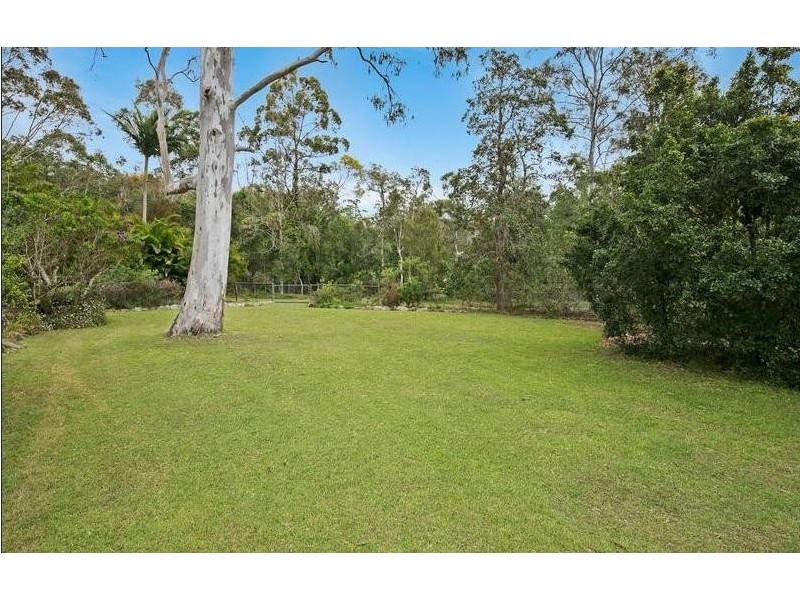 11 Tipuana Drive, Capalaba QLD 4157