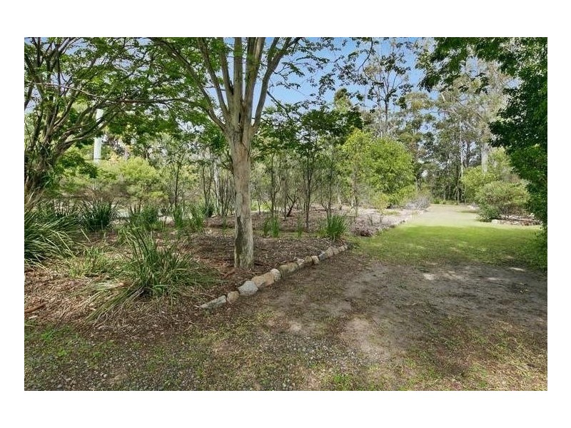 11 Tipuana Drive, Capalaba QLD 4157