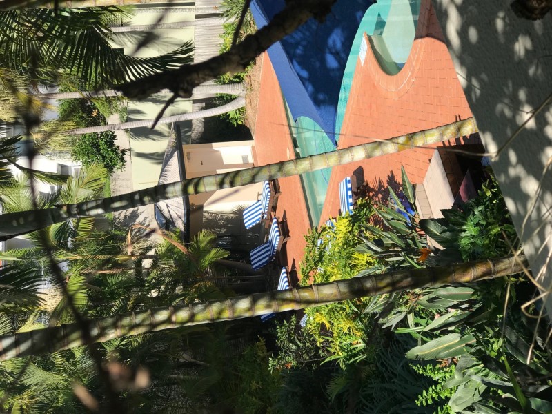 165 SYDNEY STREET, New Farm QLD 4005