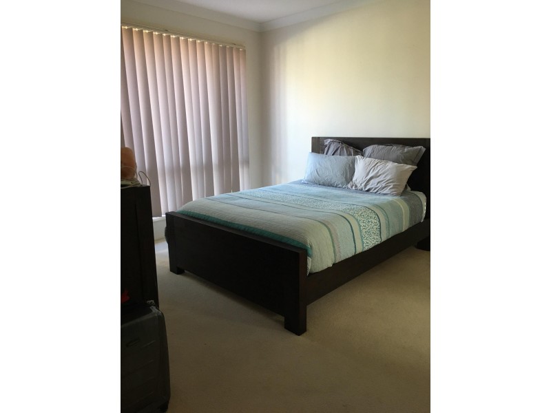 C@/152 Palm Meadows Drive, Carrara QLD 4211