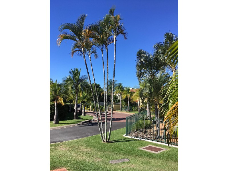 152 Palm Meadows Drive, Carrara QLD 4211