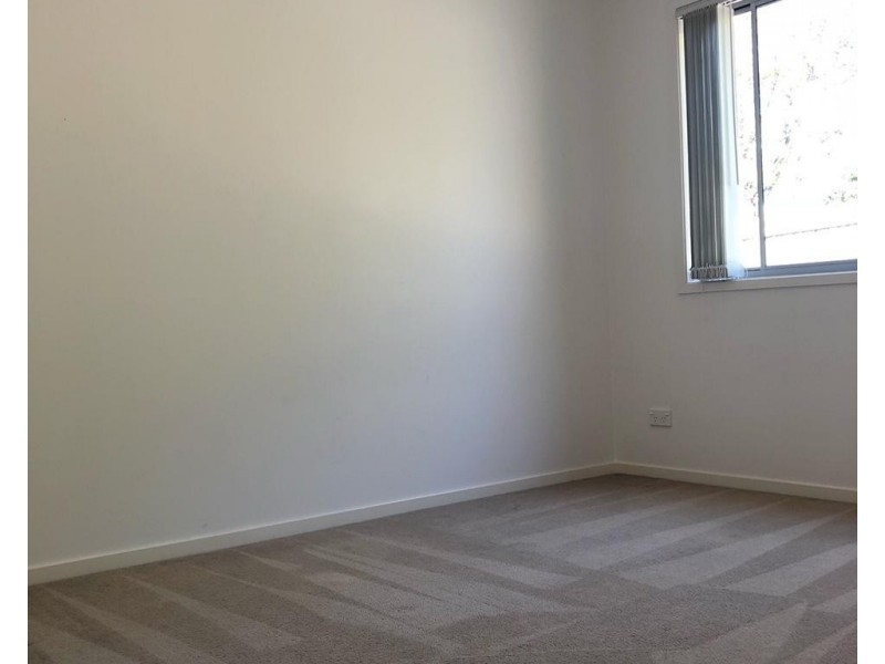 19 Russell Street, Everton Park QLD 4053