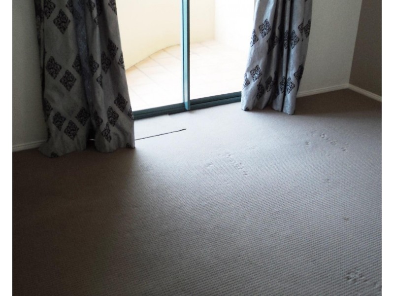 120/228 Vulture Street, South Brisbane QLD 4101